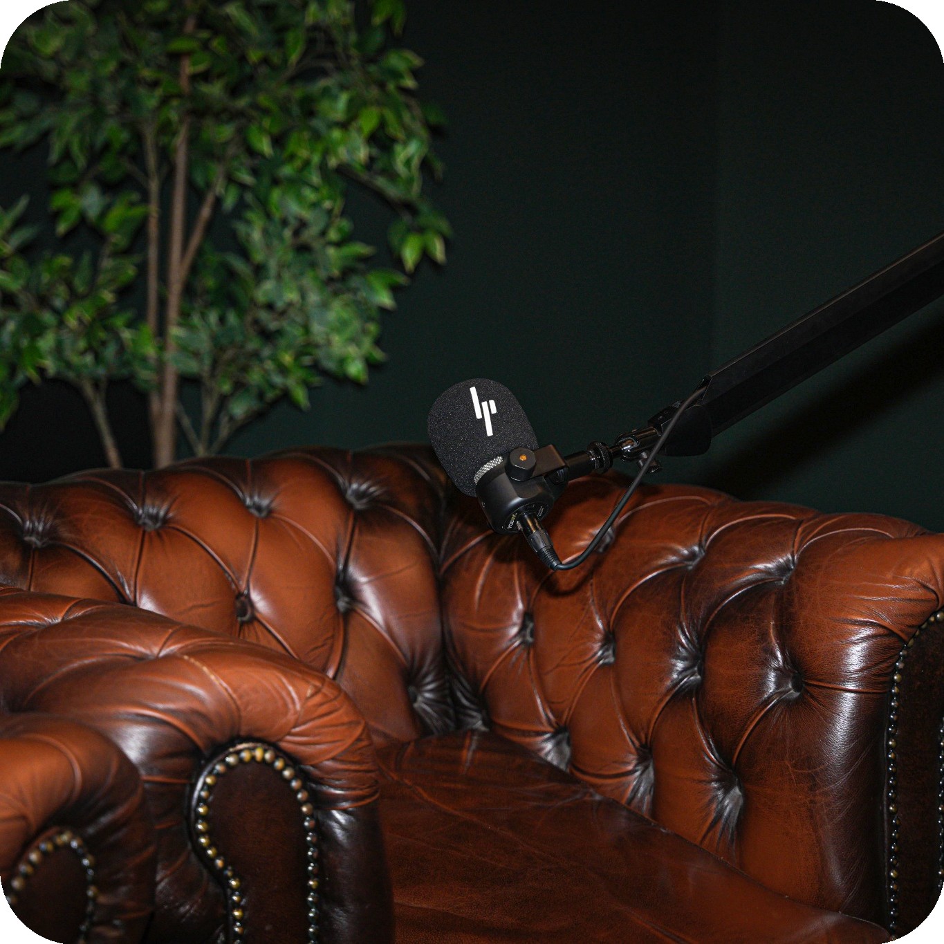 Lotgenoten Kantoor Opening4